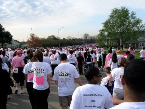 3233_86088558893_660523893_2475881_3308313_n