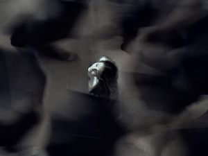 1732461-9-just-for-today-i-will-not-be-afraid