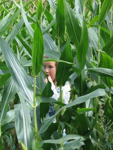 117894839_fd18170369