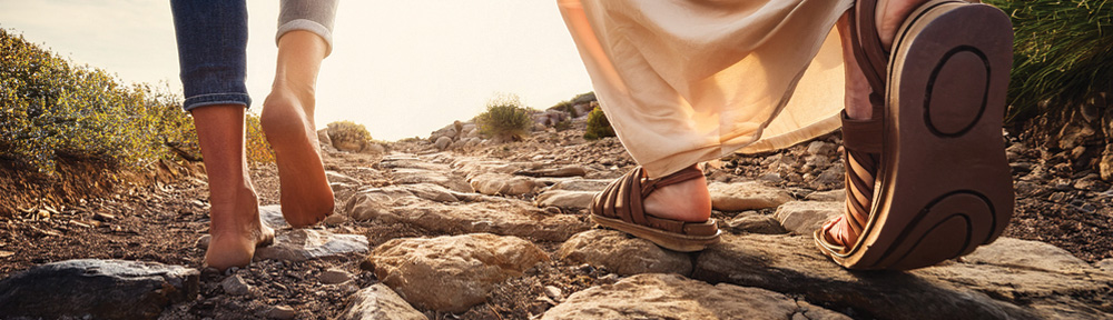 Along the Narrow Path